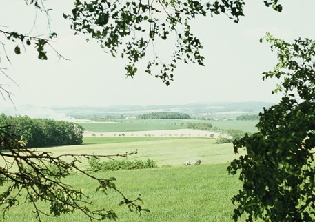 264-000093