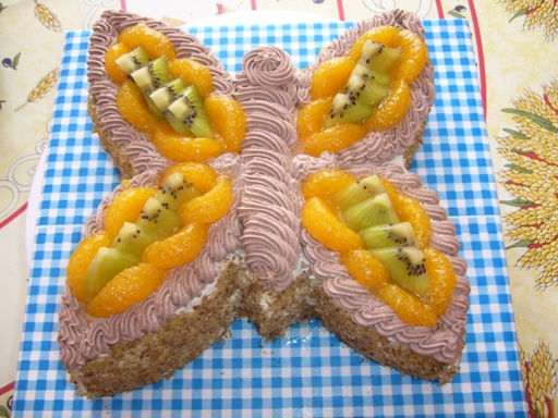 606-motýlek