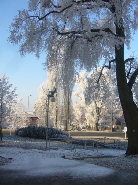 1.1.2017 4