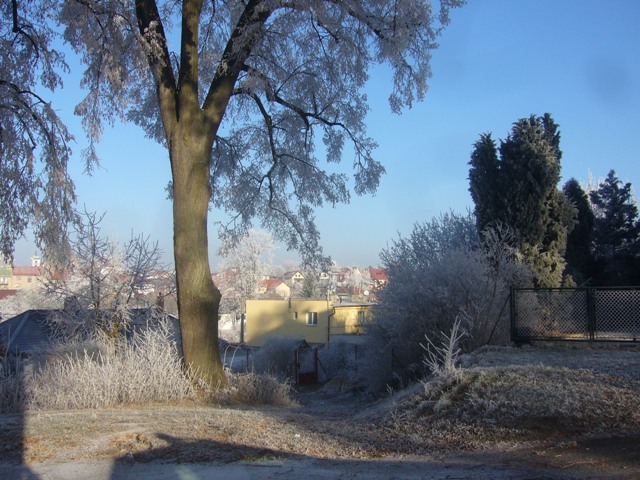 1.1.2017 6